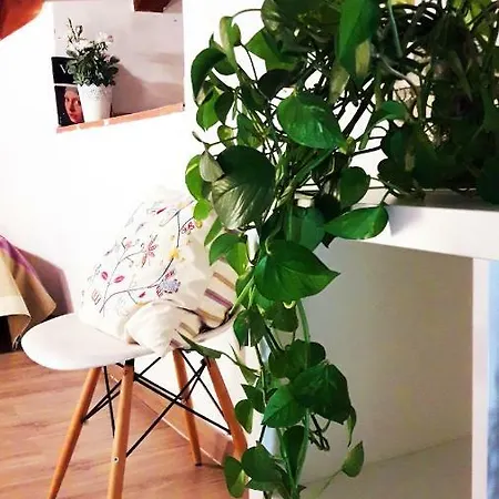 Appartement Preciosos En El Carmen Valence